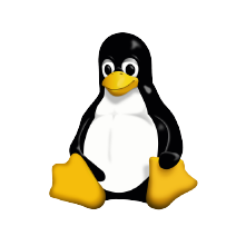 CSS